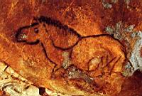 France, Bouche du Rhone, Casis, Grotte Cosquer, Cheval